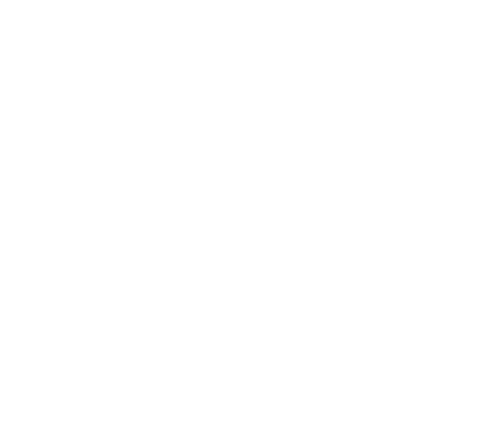 TriBro NYC